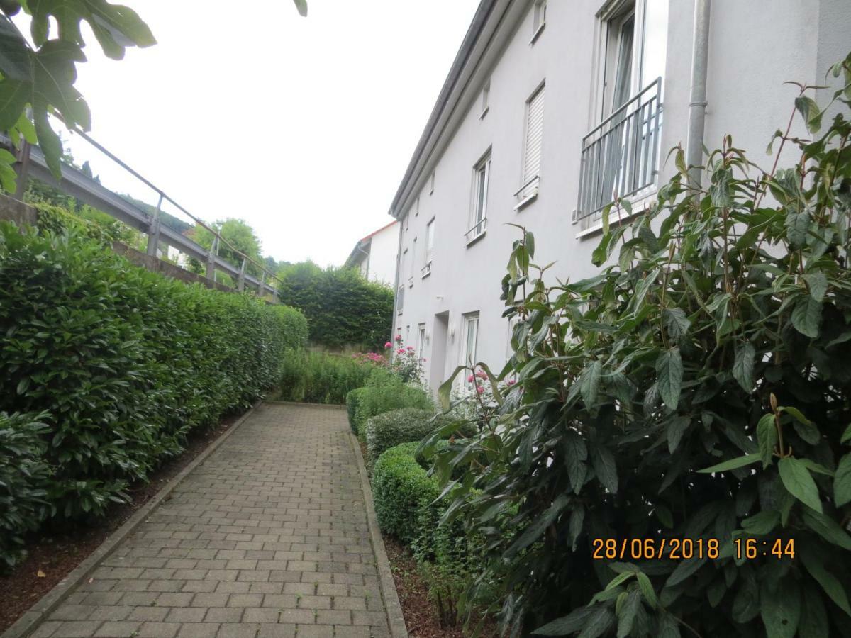 Ferienwohnung Sonnenschein Grenzach-Wyhlen Εξωτερικό φωτογραφία
